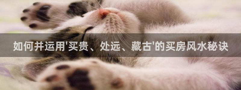 圣墟趣笔阁