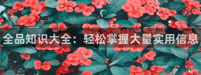 趣笔阁的书